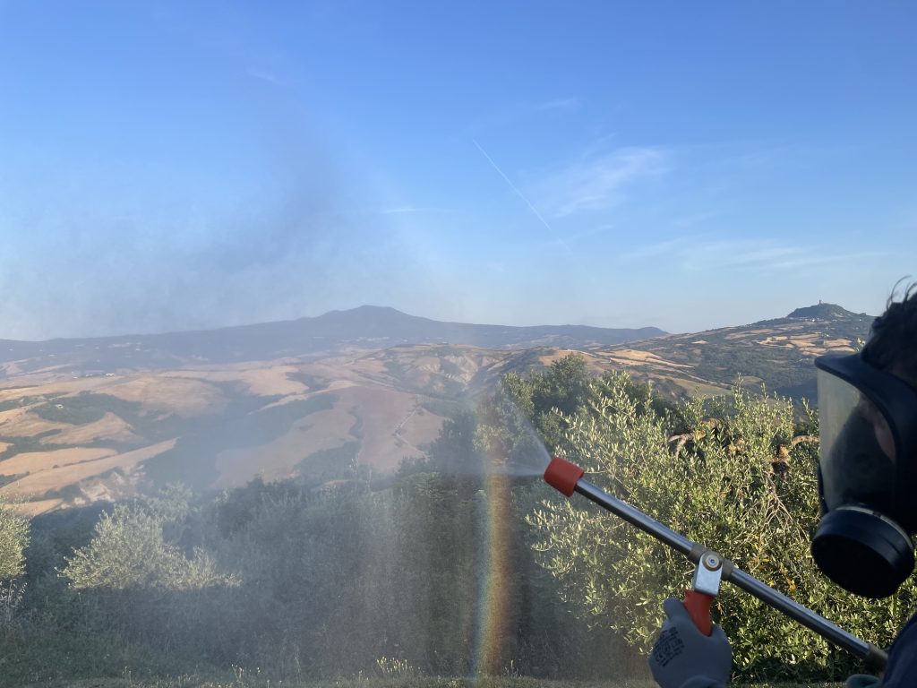 DISINFESTAZIONEESTERNA Disinfestazione insetti a Città della Pieve